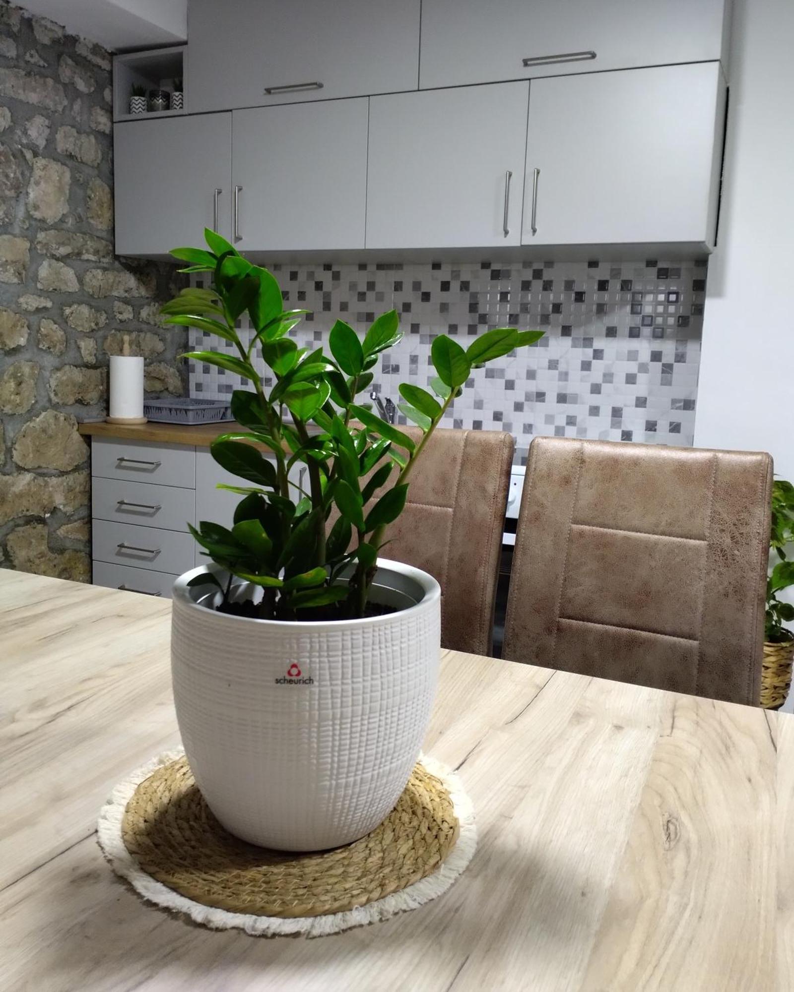 Apartmani Dumezic Bar Phòng bức ảnh